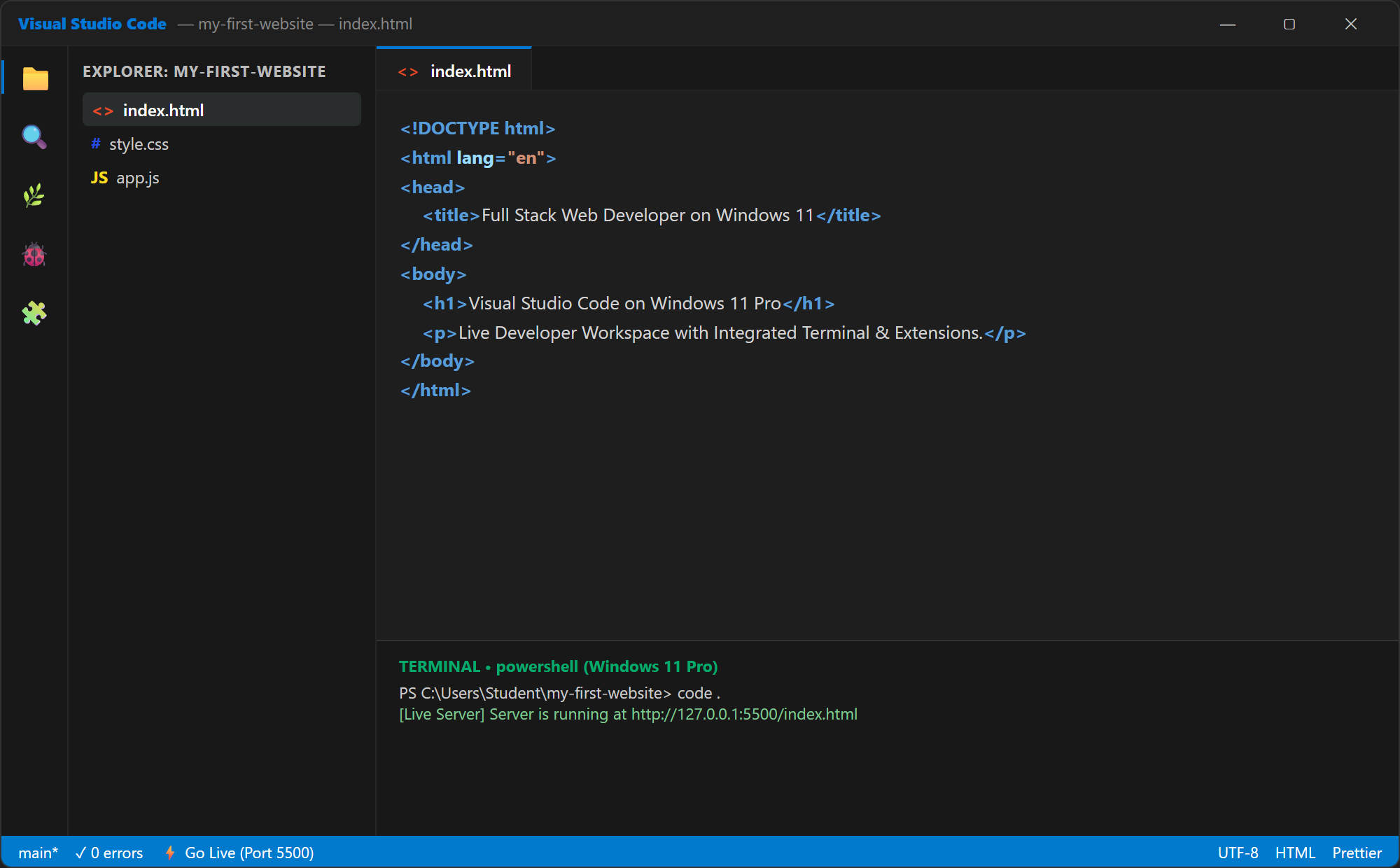 Visual Studio Code Windows 11 Developer Workspace