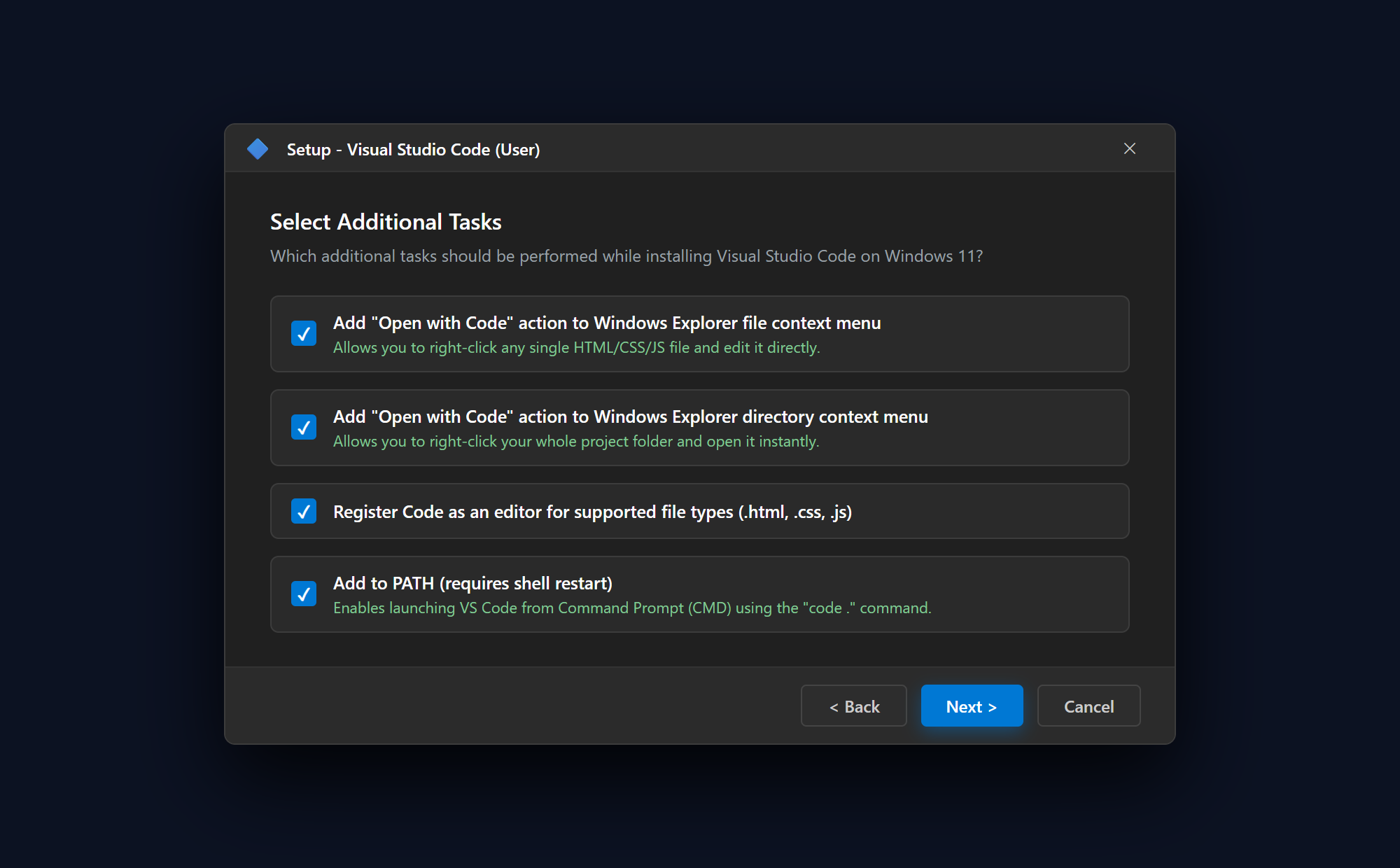 Step 4: Check Crucial Setup Checkboxes on Windows 11